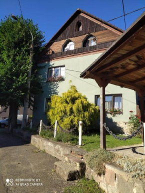 Penzion u Lípy, Decin